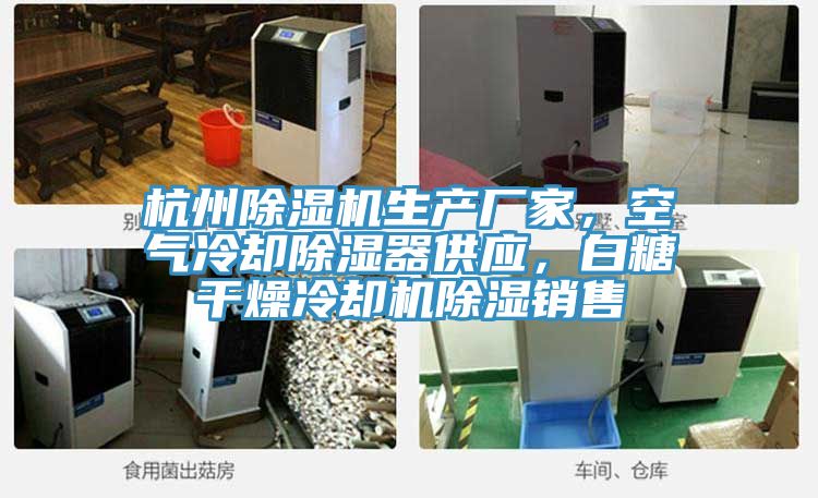 杭州除濕機生產(chǎn)廠家，空氣冷卻除濕器供應，白糖干燥冷卻機除濕銷售