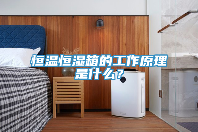 恒溫恒濕箱的工作原理是什么？