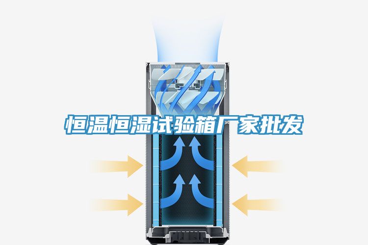 恒溫恒濕試驗箱廠家批發