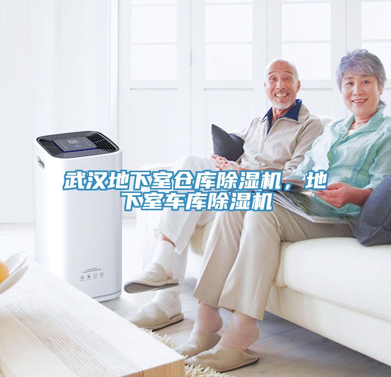 武漢地下室倉(cāng)庫(kù)除濕機(jī)，地下室車庫(kù)除濕機(jī)