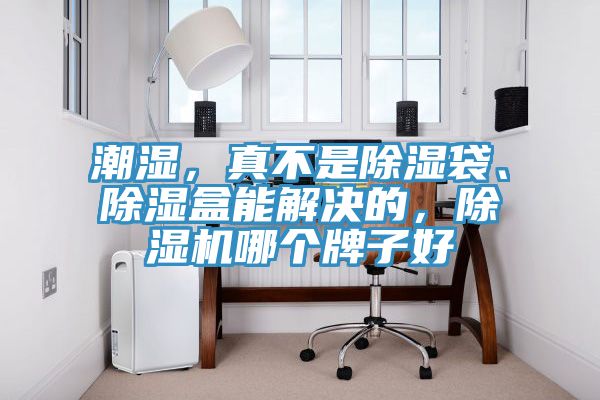潮濕，真不是除濕袋、除濕盒能解決的，除濕機(jī)哪個(gè)牌子好