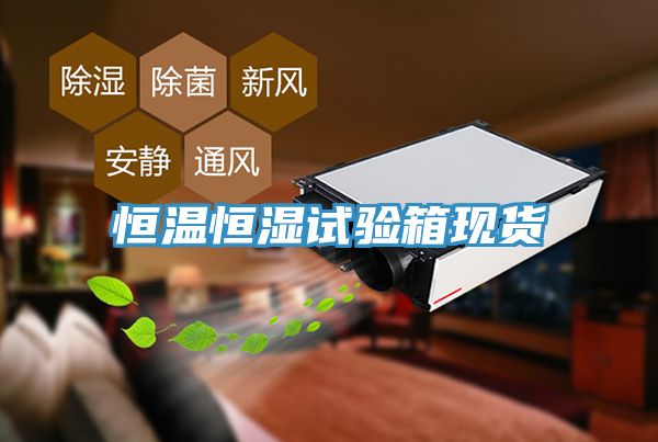 恒溫恒濕試驗箱現貨