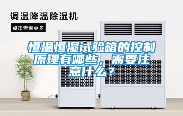 恒溫恒濕試驗(yàn)箱的控制原理有哪些，需要注意什么？