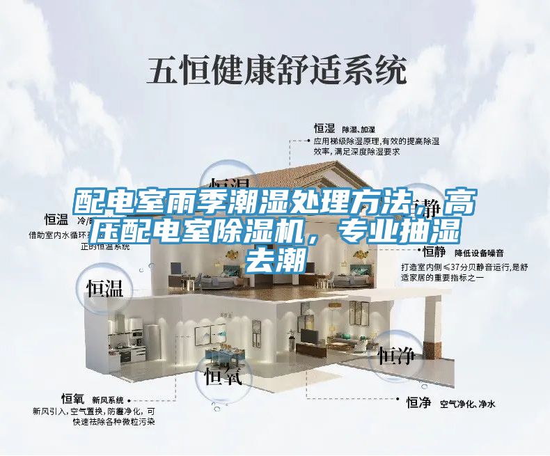 配電室雨季潮濕處理方法，高壓配電室除濕機，專業(yè)抽濕去潮