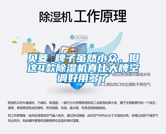 貝菱 牌子雖然小眾，但這4款除濕機真比大牌空調好用多了