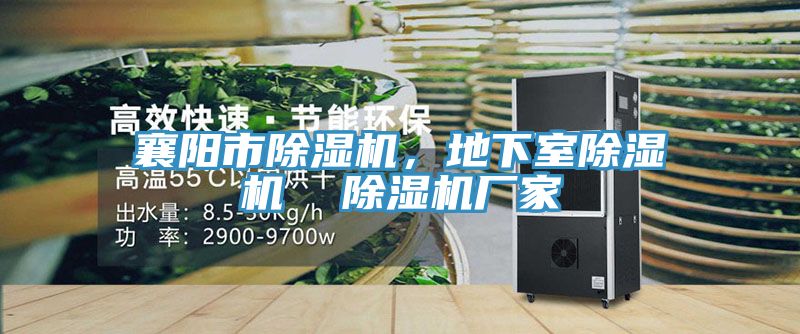 襄陽市除濕機，地下室除濕機  除濕機廠家