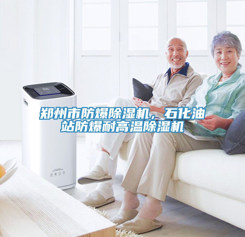 鄭州市防爆除濕機(jī)，石化油站防爆耐高溫除濕機(jī)