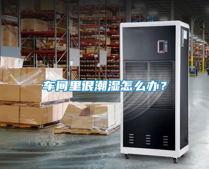 車間里很潮濕怎么辦？