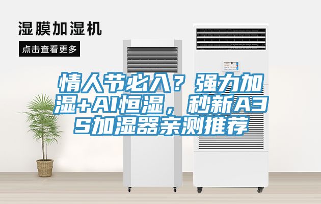情人節必入？強力加濕+AI恒濕，秒新A3S加濕器親測推薦