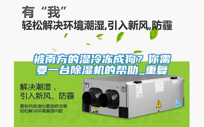 被南方的濕冷凍成狗？你需要一臺除濕機的幫助_重復
