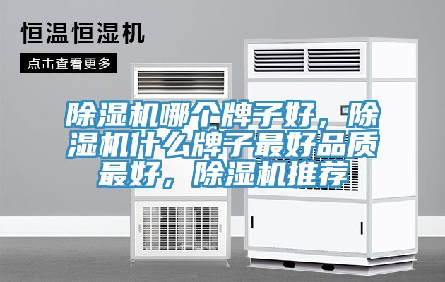 除濕機(jī)哪個牌子好，除濕機(jī)什么牌子最好品質(zhì)最好，除濕機(jī)推薦