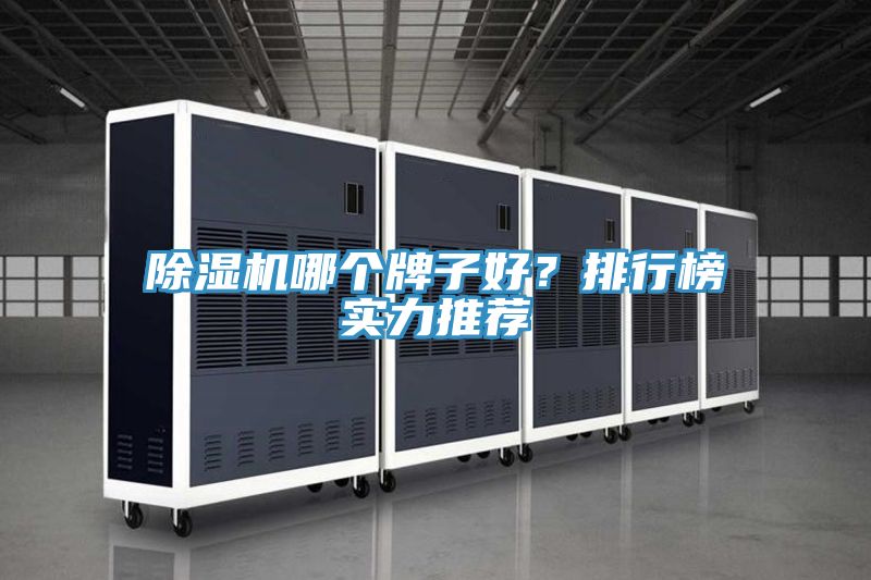 除濕機(jī)哪個牌子好？排行榜實力推薦