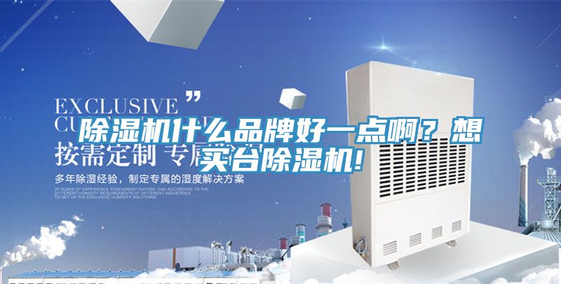 除濕機(jī)什么品牌好一點(diǎn)啊？想買臺除濕機(jī)!
