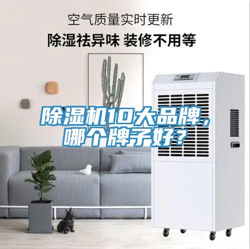除濕機10大品牌，哪個牌子好？