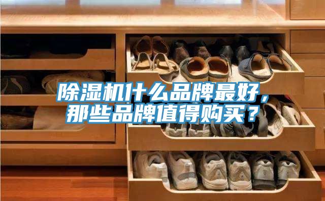 除濕機(jī)什么品牌最好，那些品牌值得購買？