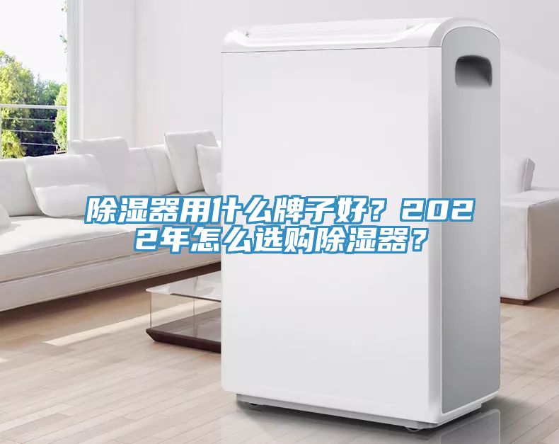 除濕器用什么牌子好？2022年怎么選購除濕器？