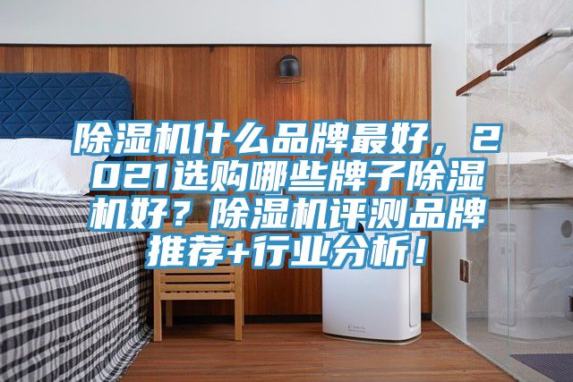 除濕機(jī)什么品牌最好，2021選購哪些牌子除濕機(jī)好？除濕機(jī)評測品牌推薦+行業(yè)分析！