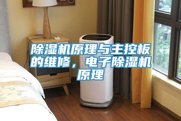 除濕機(jī)原理與主控板的維修，電子除濕機(jī)原理