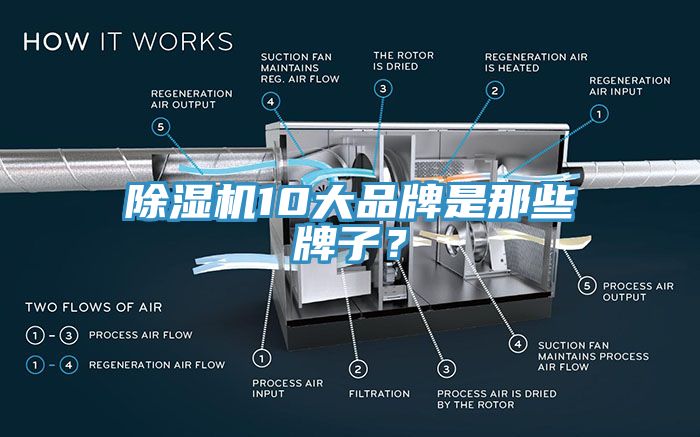 除濕機10大品牌是那些牌子？
