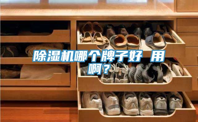 除濕機哪個牌子好 用??？