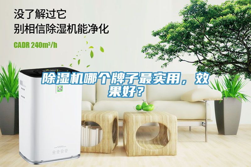 除濕機哪個牌子最實用，效果好？