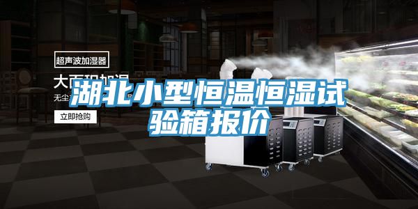 湖北小型恒溫恒濕試驗(yàn)箱報價