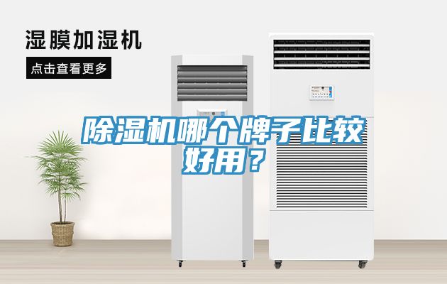 除濕機哪個牌子比較好用？