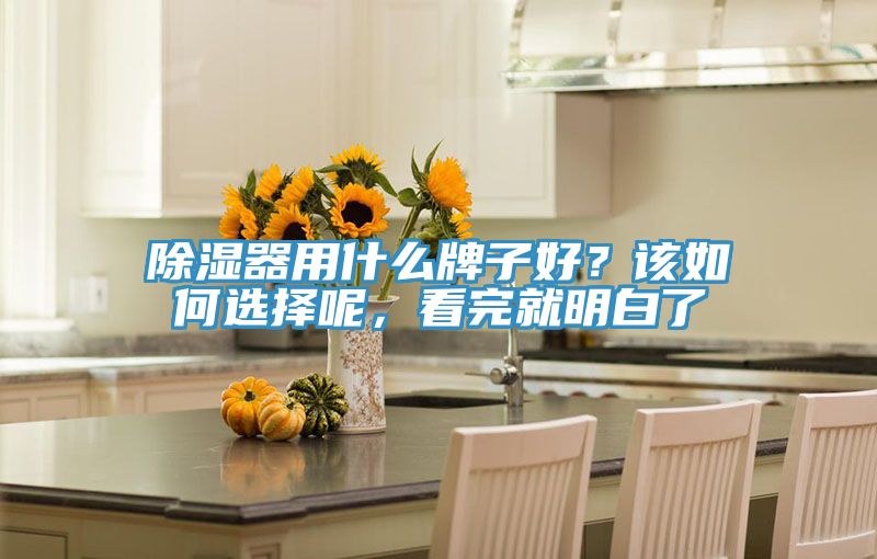 除濕器用什么牌子好？該如何選擇呢，看完就明白了