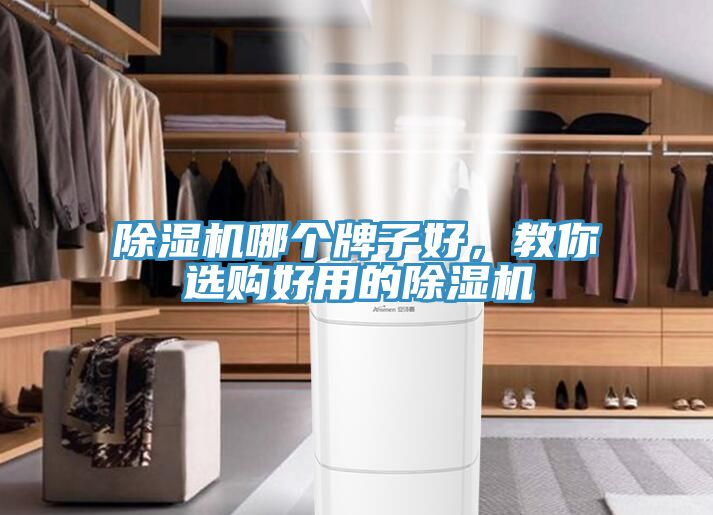 除濕機(jī)哪個牌子好，教你選購好用的除濕機(jī)