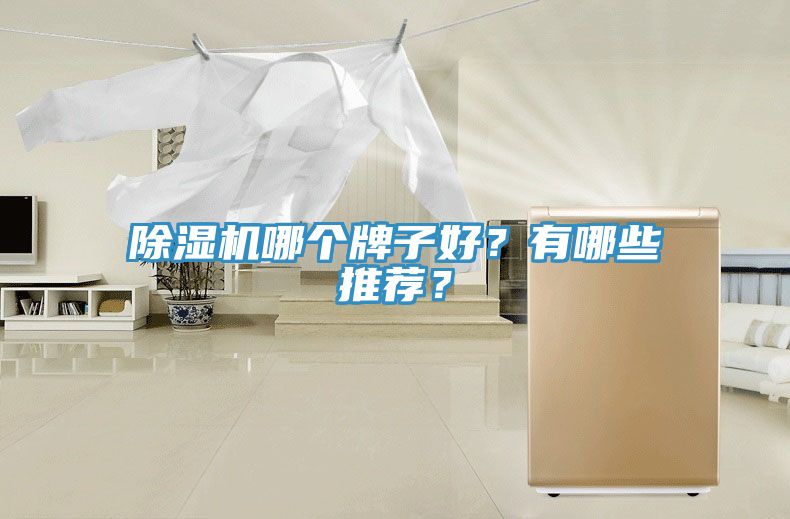 除濕機(jī)哪個牌子好？有哪些推薦？