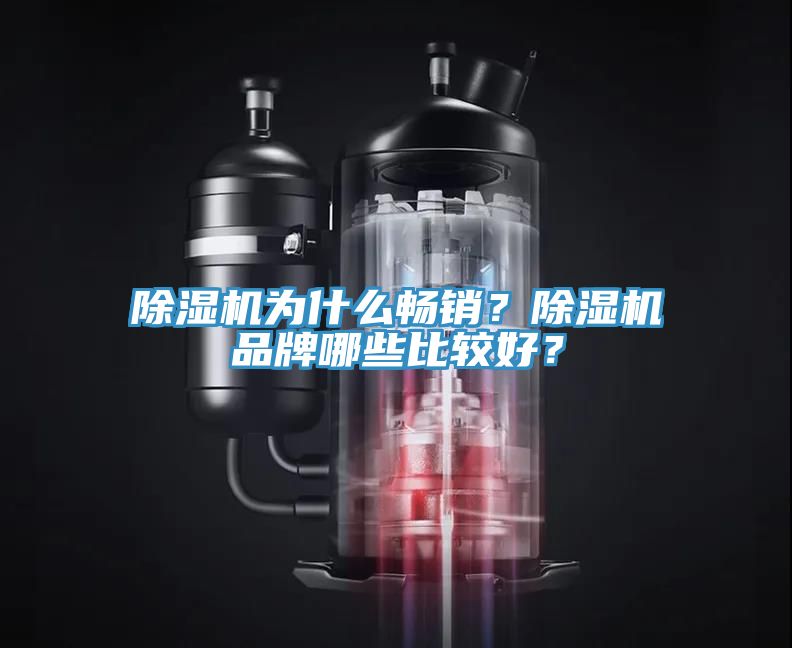 除濕機為什么暢銷？除濕機品牌哪些比較好？
