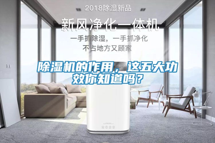 除濕機(jī)的作用，這五大功效你知道嗎？