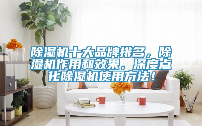 除濕機(jī)十大品牌排名，除濕機(jī)作用和效果，深度點化除濕機(jī)使用方法！