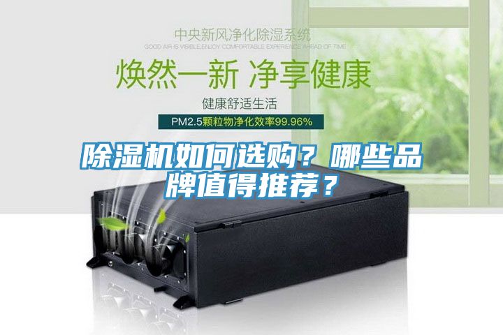 除濕機如何選購？哪些品牌值得推薦？