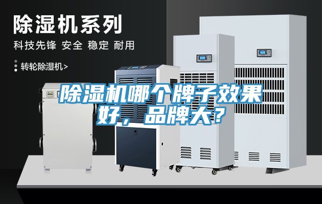 除濕機哪個牌子效果好，品牌大？