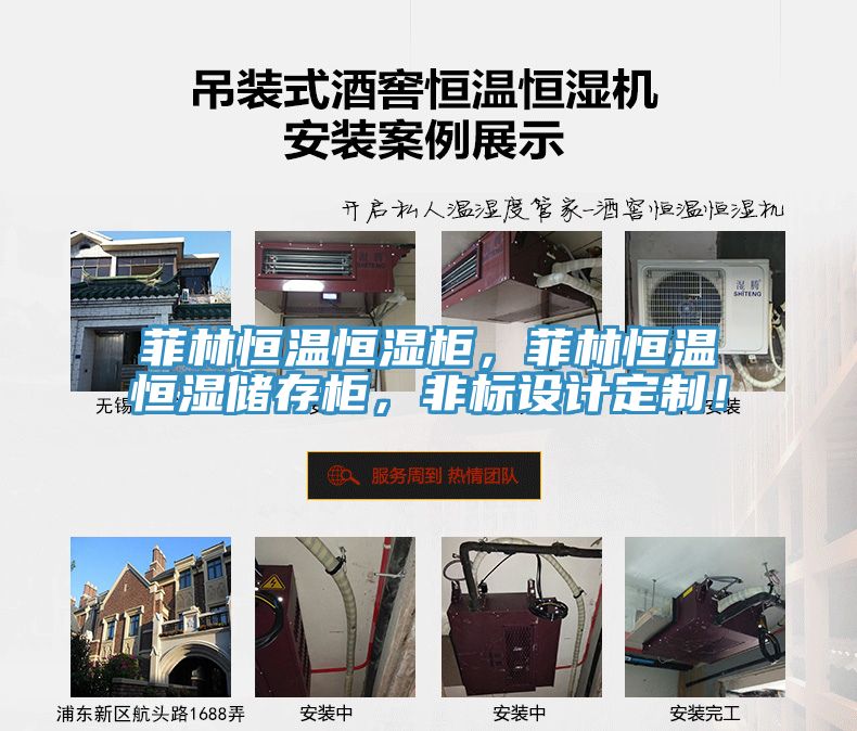 菲林恒溫恒濕柜，菲林恒溫恒濕儲存柜，非標設計定制！
