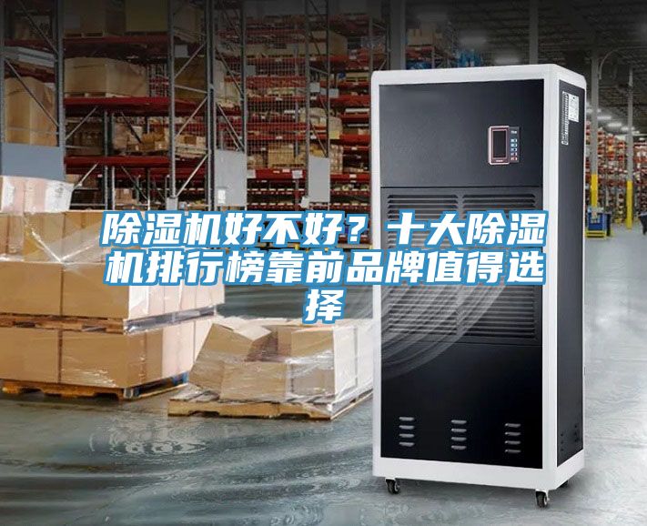 除濕機好不好？十大除濕機排行榜靠前品牌值得選擇