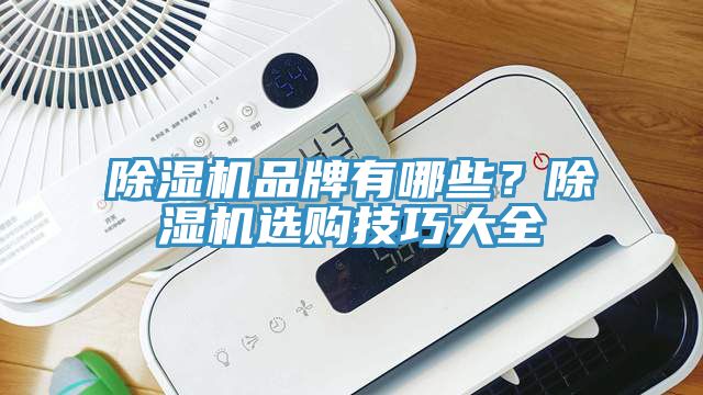 除濕機(jī)品牌有哪些？除濕機(jī)選購(gòu)技巧大全