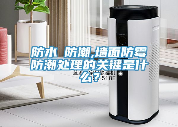 防水≠防潮,墻面防霉防潮處理的關(guān)鍵是什么？