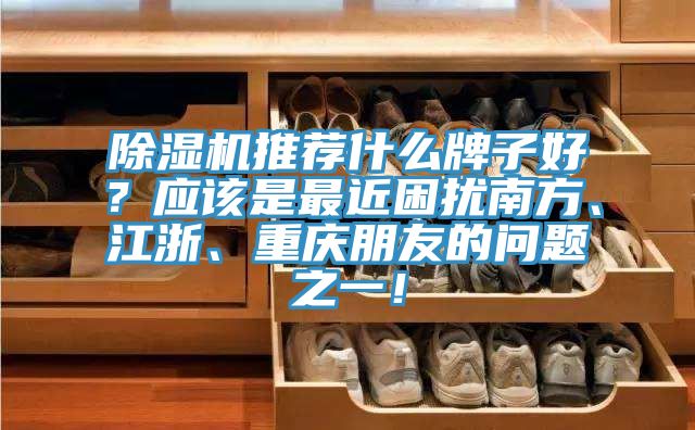 除濕機(jī)推薦什么牌子好？應(yīng)該是最近困擾南方、江浙、重慶朋友的問題之一！