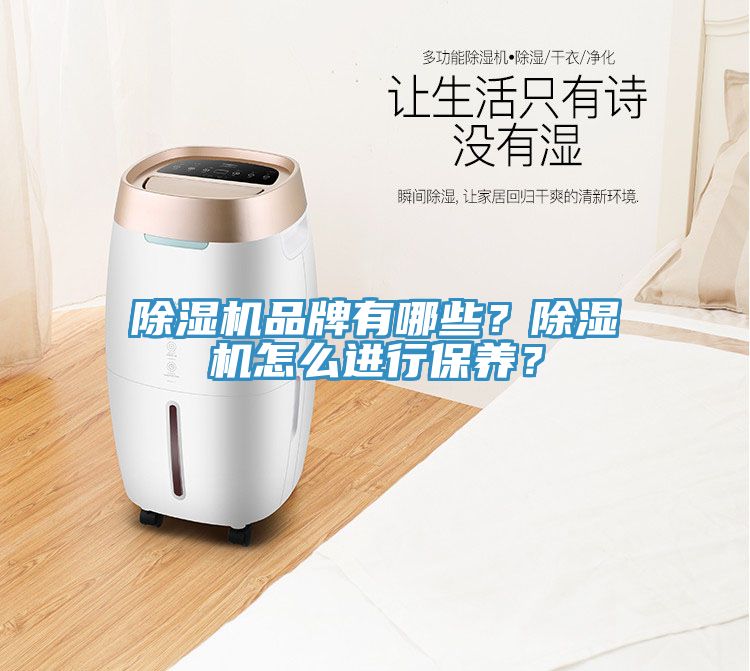 除濕機(jī)品牌有哪些？除濕機(jī)怎么進(jìn)行保養(yǎng)？