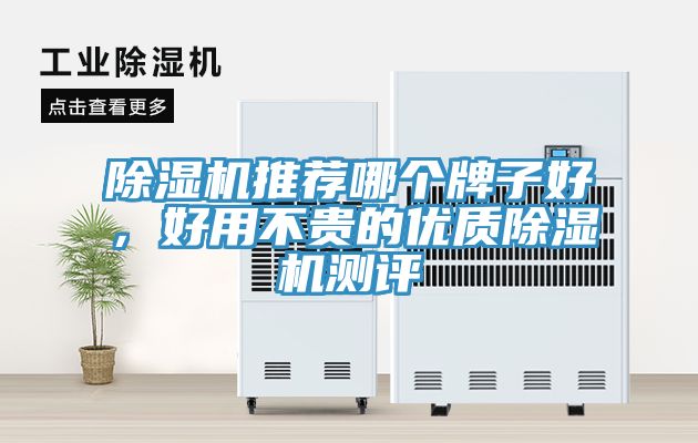 除濕機(jī)推薦哪個(gè)牌子好，好用不貴的優(yōu)質(zhì)除濕機(jī)測(cè)評(píng)
