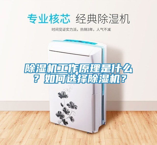 除濕機工作原理是什么？如何選擇除濕機？
