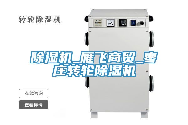 除濕機_雁飛商貿(mào)_棗莊轉輪除濕機