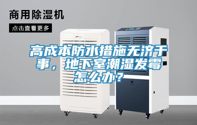高成本防水措施無(wú)濟(jì)于事，地下室潮濕發(fā)霉怎么辦？