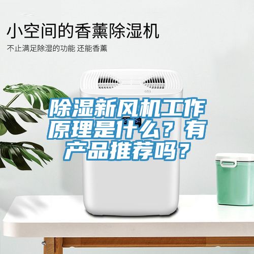 除濕新風(fēng)機(jī)工作原理是什么？有產(chǎn)品推薦嗎？