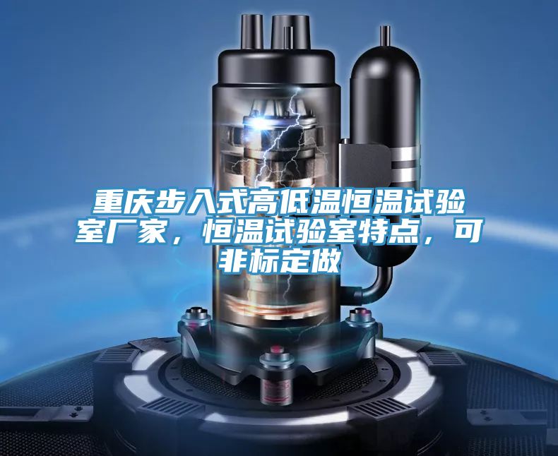 重慶步入式高低溫恒溫試驗室廠家，恒溫試驗室特點，可非標定做