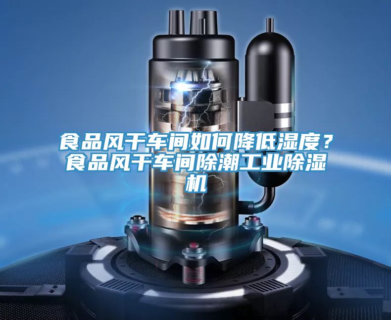 食品風干車間如何降低濕度？食品風干車間除潮工業除濕機