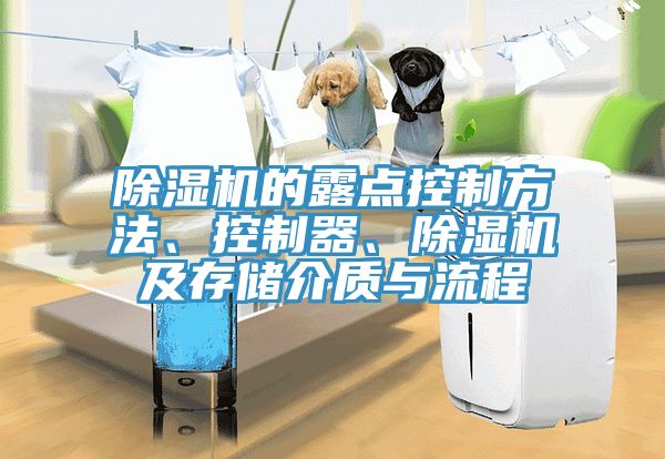 除濕機的露點控制方法、控制器、除濕機及存儲介質與流程