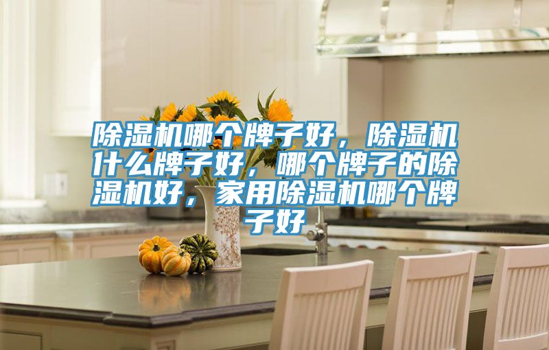 除濕機(jī)哪個(gè)牌子好，除濕機(jī)什么牌子好，哪個(gè)牌子的除濕機(jī)好，家用除濕機(jī)哪個(gè)牌子好